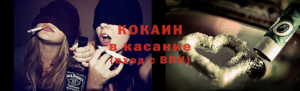apvp Алексин