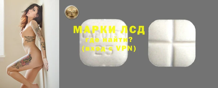 apvp Алексин