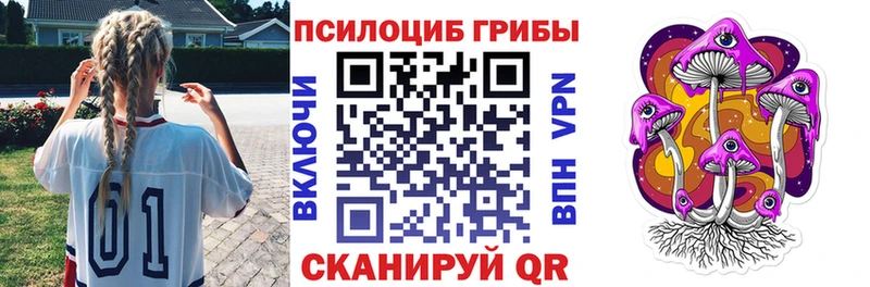 Псилоцибиновые грибы Psilocybe  наркота  Кулебаки 