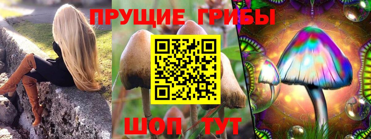 Кулебаки  Галлюциногенные грибы MAGIC MUSHROOMS  Псилоцибиновые грибы Magic Shrooms  Вход с VPN 